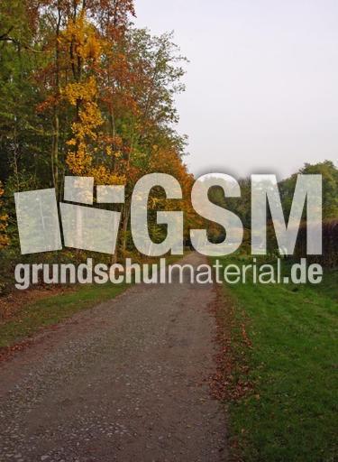 Herbststimmung-23-10-09 051.jpg